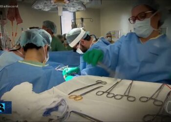 cirurgia de rim, doação de órgãos, procedimento de transplante