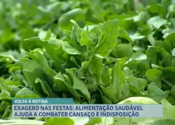 comida saudável, alimentação saudável