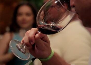 Evento de Vinho em Sergipe, Feira de Vinhos em Aracaju, Encontro de Apreciadores e Especialistas de Vinho em Sergipe