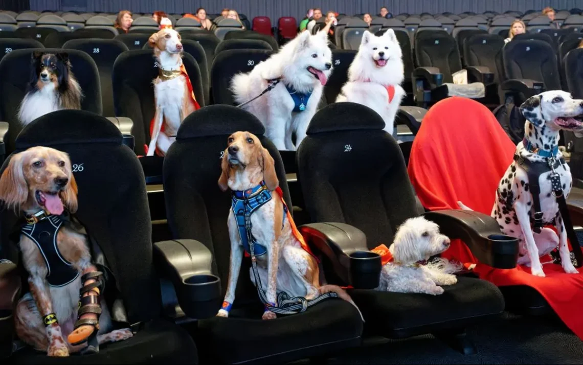 cães no cinema;