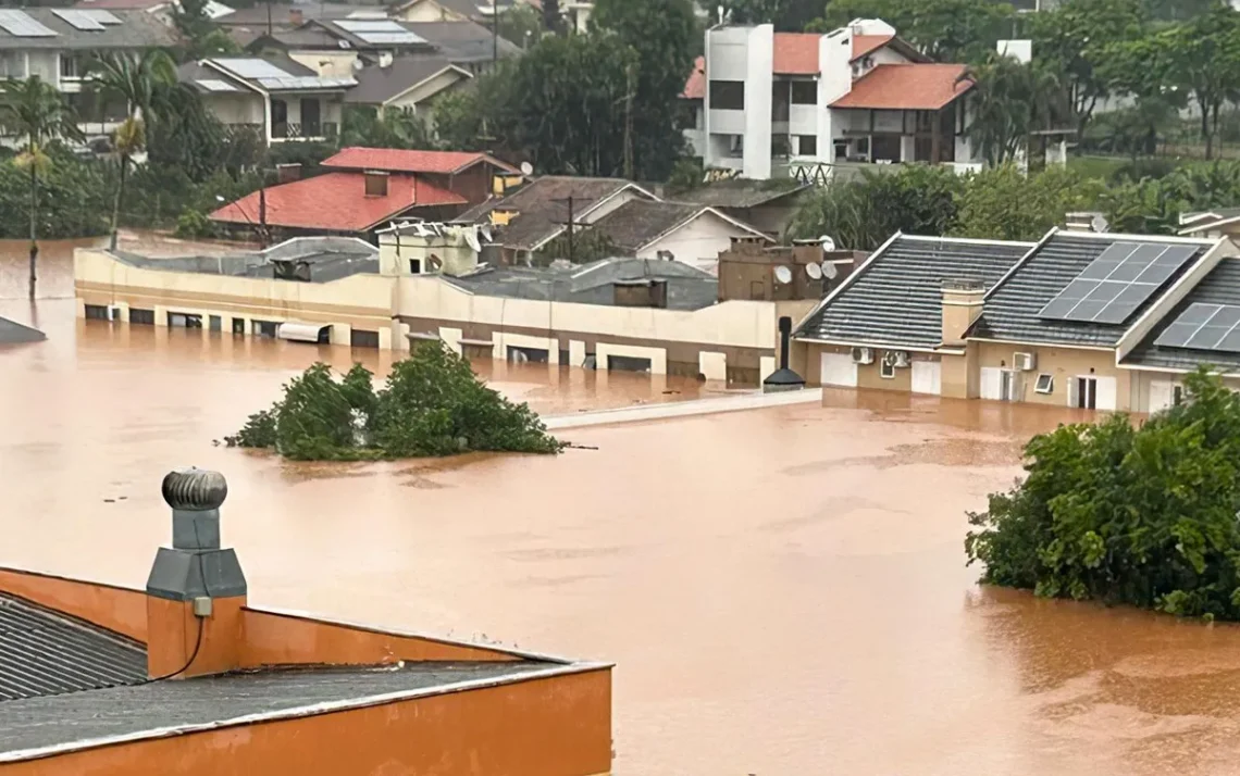 reparação, de estradas, reabilitação, de estradas