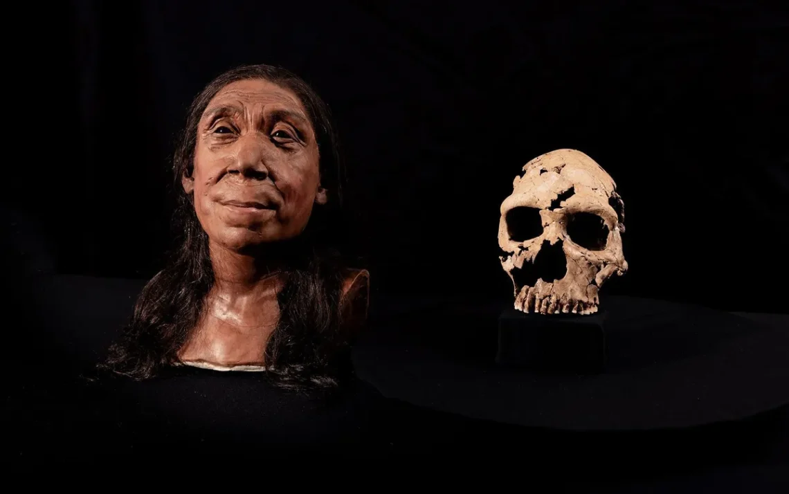 seres humanos antigos, espécie de Homo, heidelbergensis ou Homo neanderthalensis.