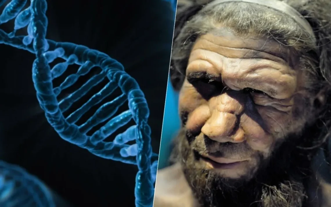 ancestrais, Neandertais;