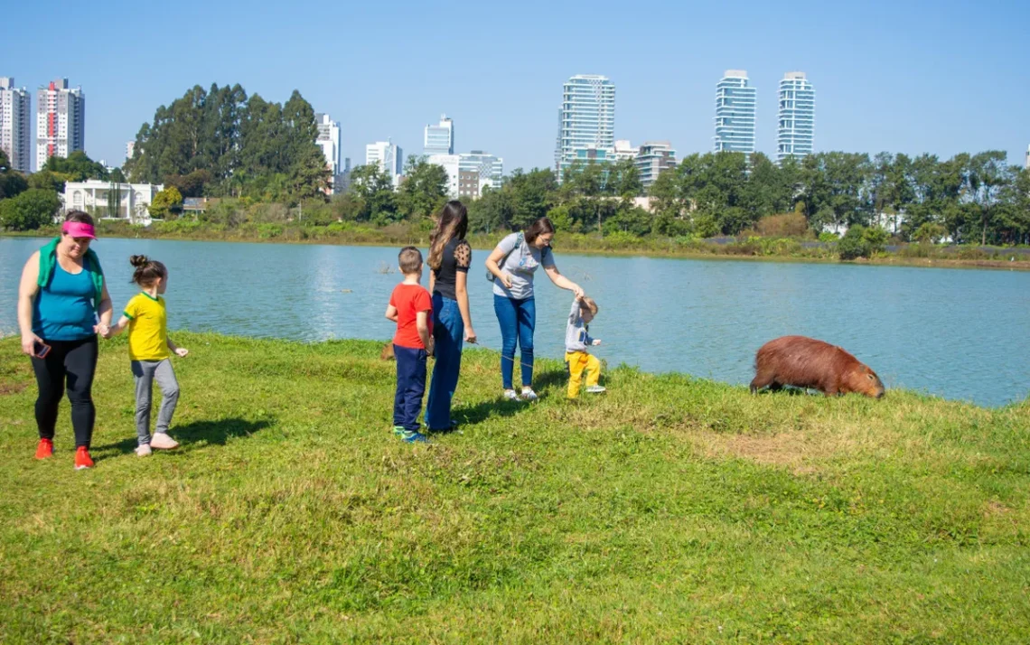 vagas, em creches, unidades, de educação, infantil, instituições, de ensino;