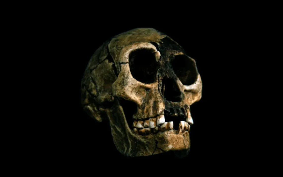 pequeno, ser humano, Homo floresiensis