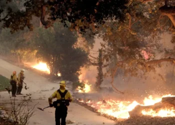 queimadas, focos, de incêndio;