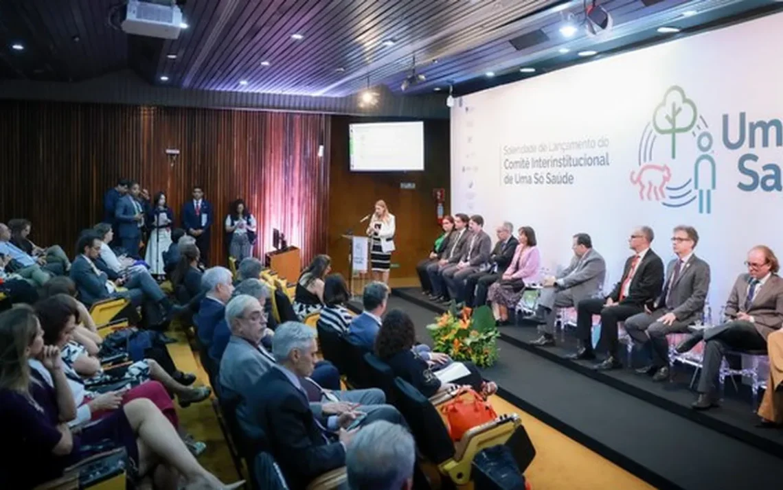 bem-estar, saúde, saúde pública, saúde coletiva;