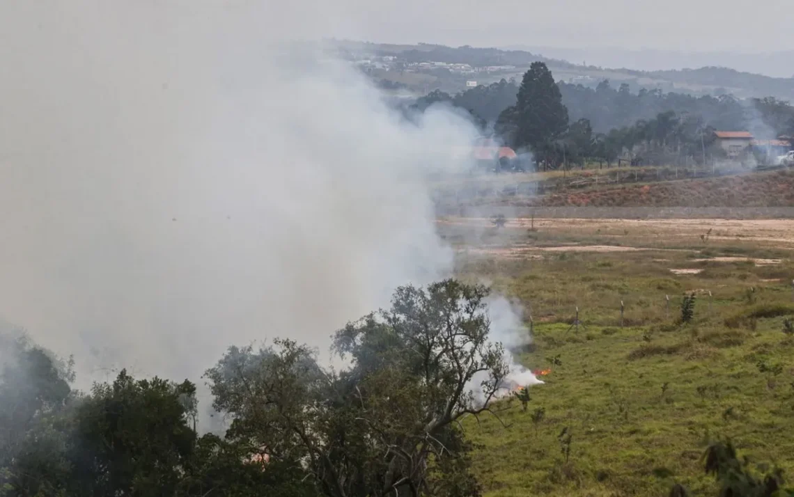 incêndios, provocados, quemadas, criminosos;