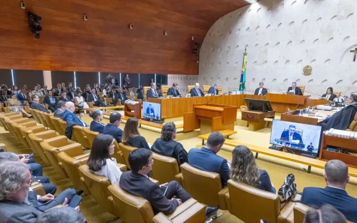 interrupção, voluntária da, gravidez;