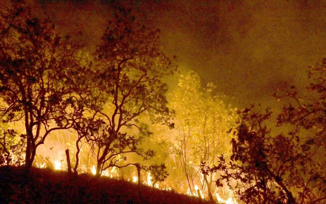 incêndios, focos, de incêndio, chamas;