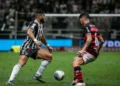 Galo, Rubro-negro, Flamengo;