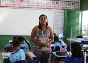 Fundo de Manutenção e Desenvolvimento da Educação Básica e de Valorização dos Profissionais da Educação, Fundo de Manutenção e Desenvolvimento da Educação Básica, Fundeb;