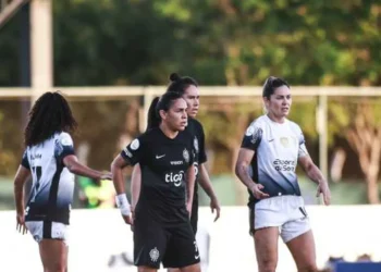 Campeonato Sul-Americano, Copa Libertadores da América Feminina, Torneio Sul-Americano;