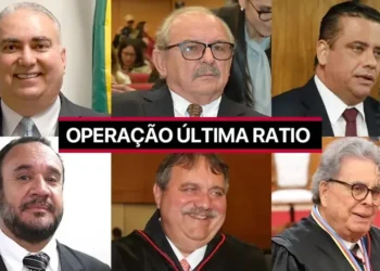 investigação, ação, policial;