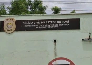 Autoridade, Segurança, Força, Pública;