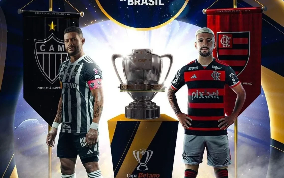 campeonato brasileiro, competição nacional, torneio nacional;