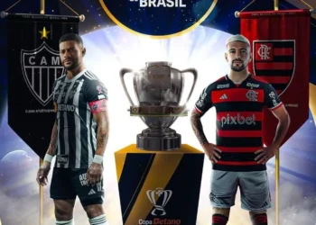 campeonato brasileiro, competição nacional, torneio nacional;