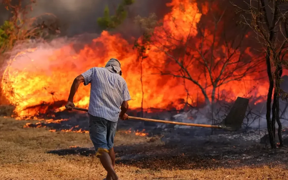 incêndios, queimados, focos de incêndio';