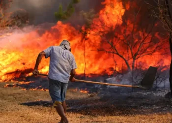 incêndios, queimados, focos de incêndio';