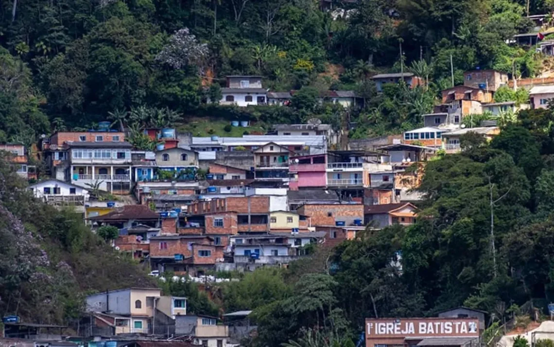 segurança, pública, violência