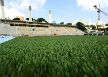 Pacaembu, Mercado, Livre Arena;