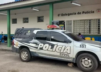 força-policial, segurança-pública, leis-e-ordem