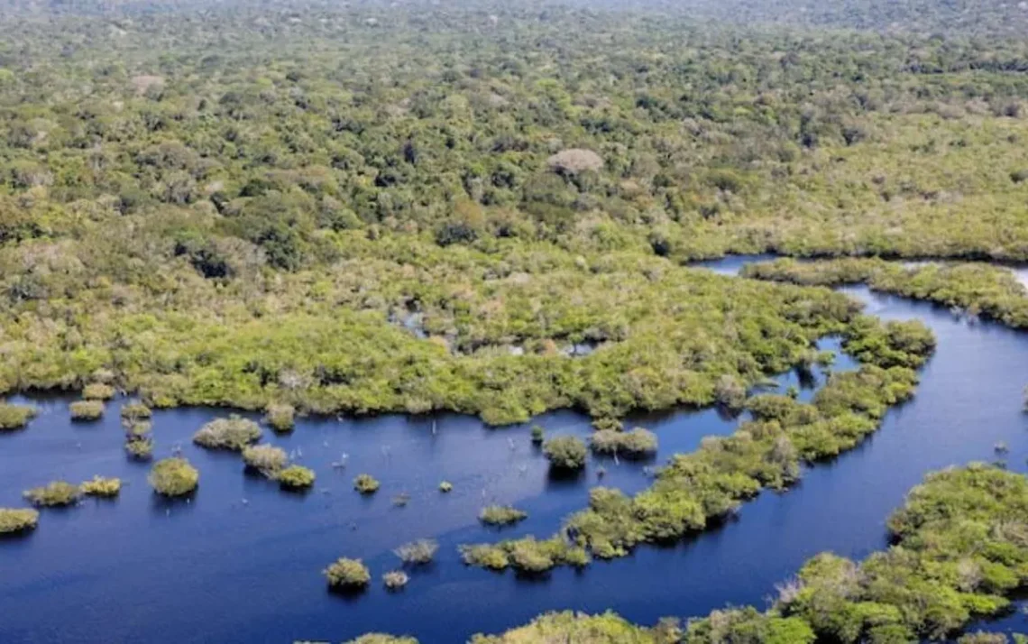 sustentabilidade, meio ambiente, saúde ambiental, impactos negativos da ação humana