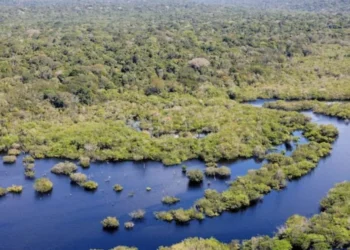 sustentabilidade, meio ambiente, saúde ambiental, impactos negativos da ação humana