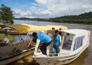 doença, infecciosa, doença;