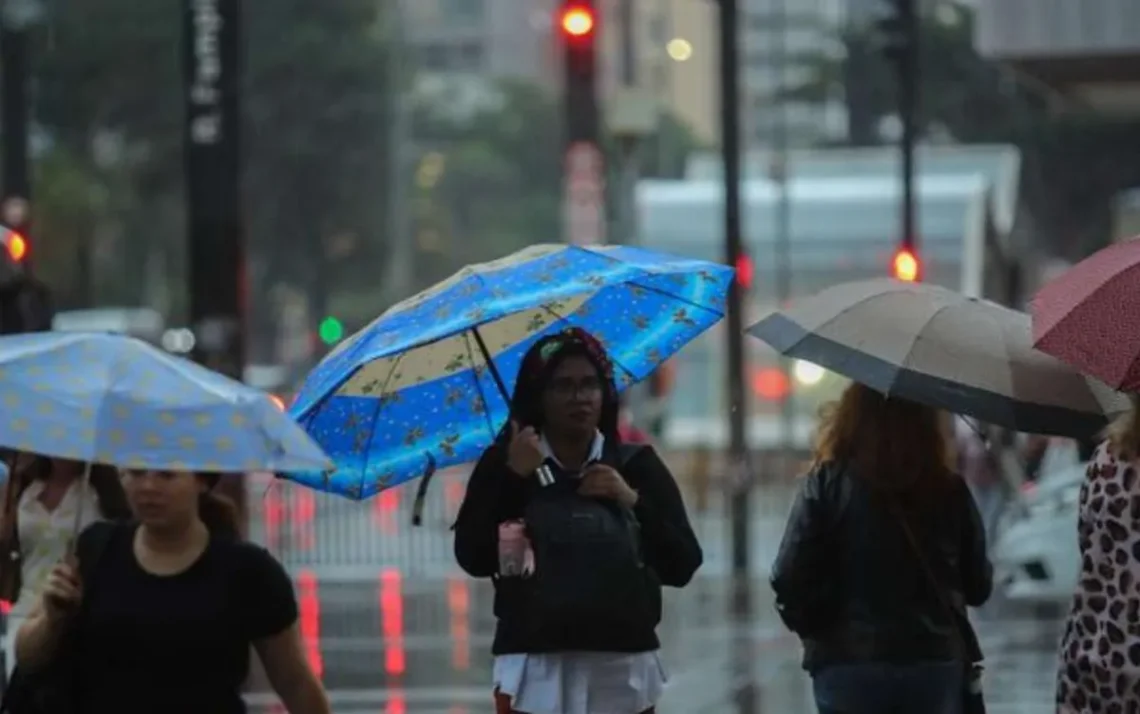 chuva, tempo, instável, frente, fria, nuvens, carregadas, pancadas, de chuva;