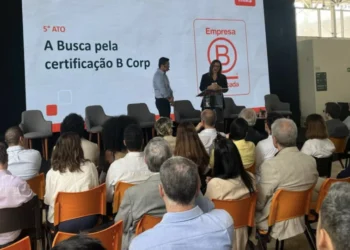 empresa, B, sustentabilidade