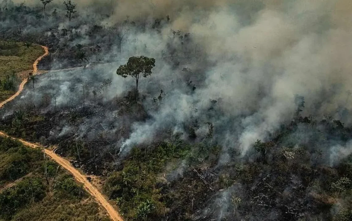 catástrofe, climática, degradação, ambiental, mudanças, climáticas;