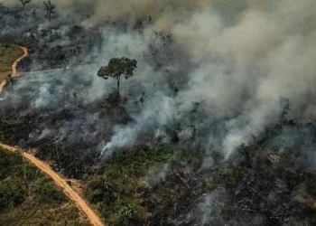 catástrofe, climática, degradação, ambiental, mudanças, climáticas;