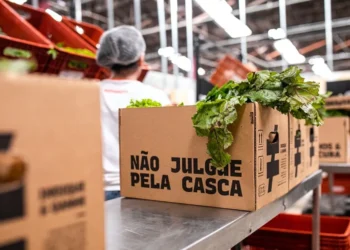 mercado, alimentos, orgânicos