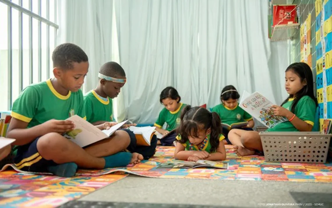 Programa, Nacional do, Livro e, do Material, Didático