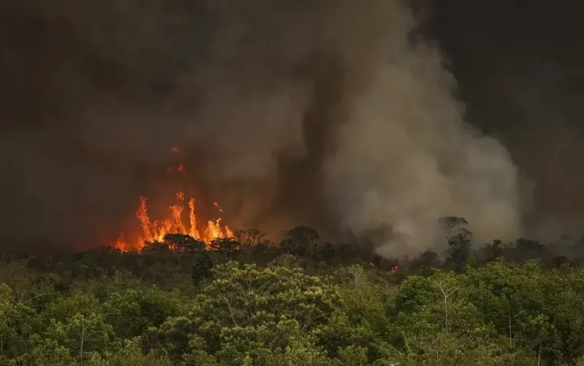 queimadas, incêndios florestais;