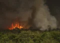 queimadas, incêndios florestais;