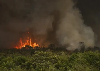 queimadas, incêndios florestais;