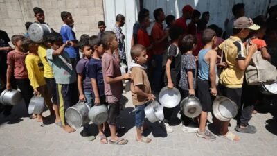 A Fome Global e o Alerta da ONU: Uma Crise Evitável