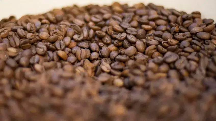 Café tem preço reduzido em 5% com novas tarifas nos EUA