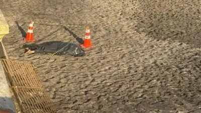 Corpo em estado de decomposição é encontrado na praia da Barra em Salvador