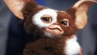 Data de estreia de Gremlins 3 com Steven Spielberg confirmado como produtor