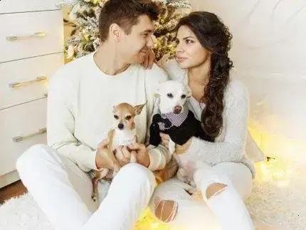 Estudo revela o amor dos tutores por pets e suas preferências românticas