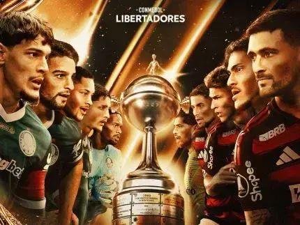 Flamengo e Palmeiras: grandes momentos da final da Libertadores 2025