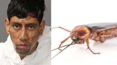 Homem afirma que barata o mandou matar em caso de duplo homicídio