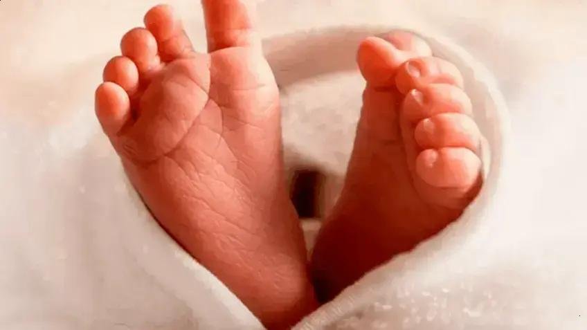 Queda nos Nascimentos e Mudanças nos Casamentos em São Paulo