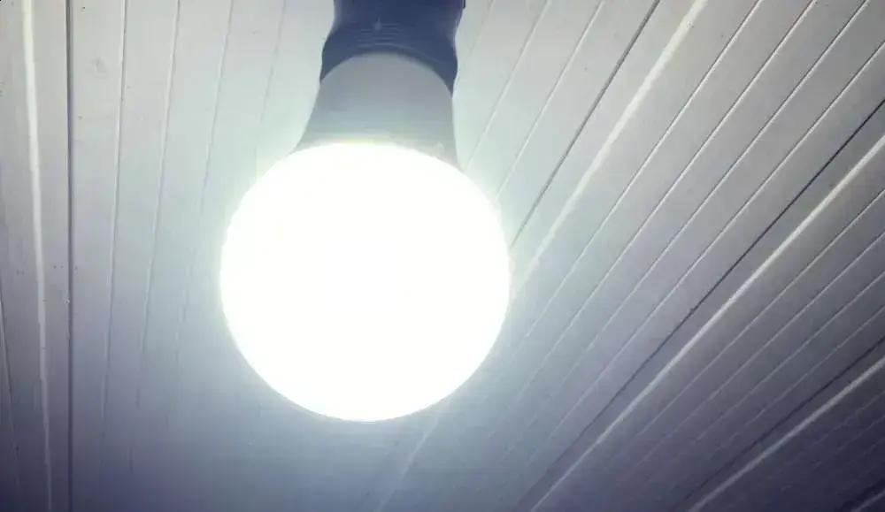 Redução no preço da energia elétrica em dezembro anima consumidores