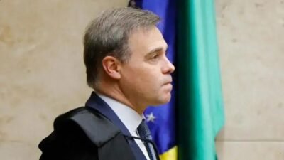 STF suspende lei fluminense sobre transporte de animais de apoio emocional