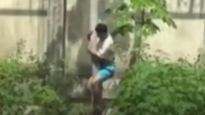 Técnica leva jovem a jaula de leoa e tragédia resulta em morte