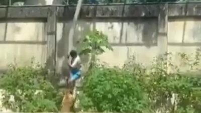 Tragédia no Parque Arruda Câmara: jovem morre após invasão ao recinto de leoa